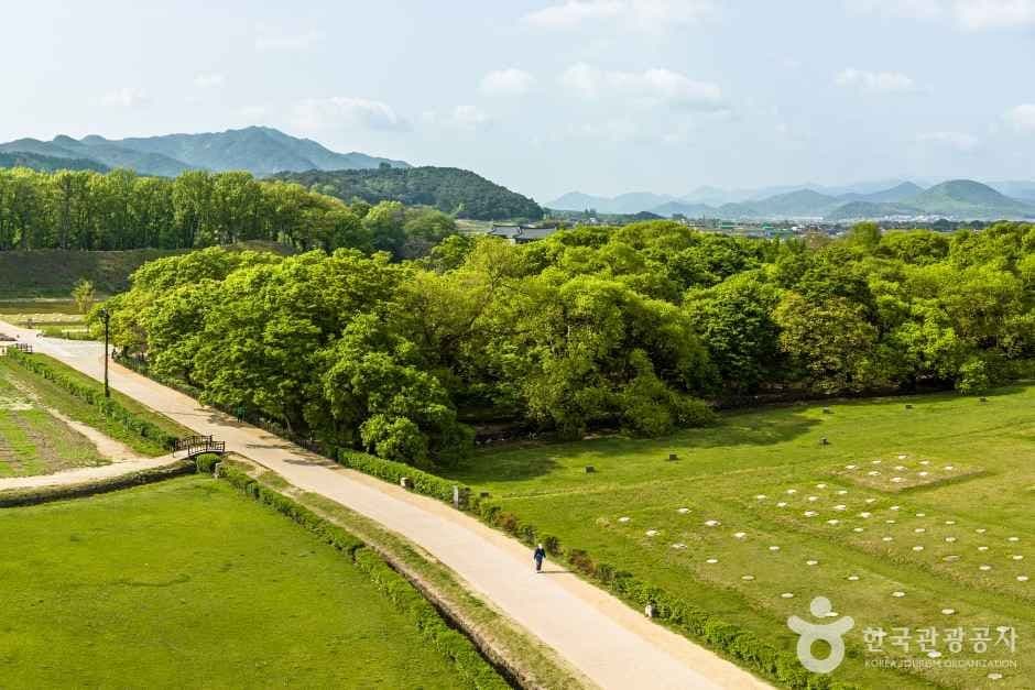 Gyerim Forest, the ancient woodland of the Kim Alji legend in Gyeongju (view 3)