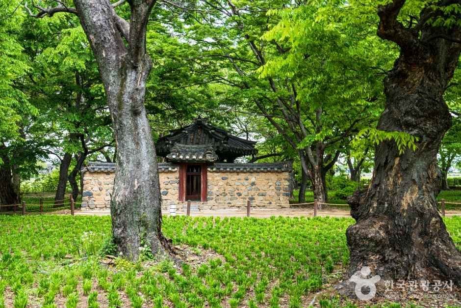 Gyerim Forest, the ancient woodland of the Kim Alji legend in Gyeongju (view 4)