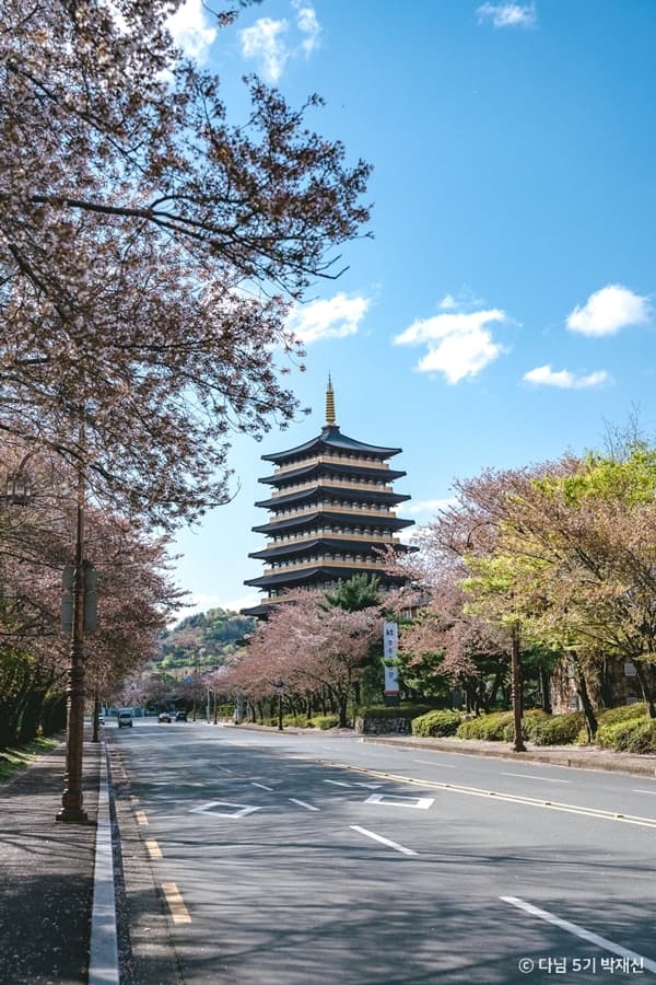 Spring view of Hwangnyongwon meditation retreat in Bomun Tourist Complex, Gyeongju