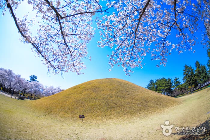 Daereungwon Tomb Complex royal burial mounds in Gyeongju (view 2)