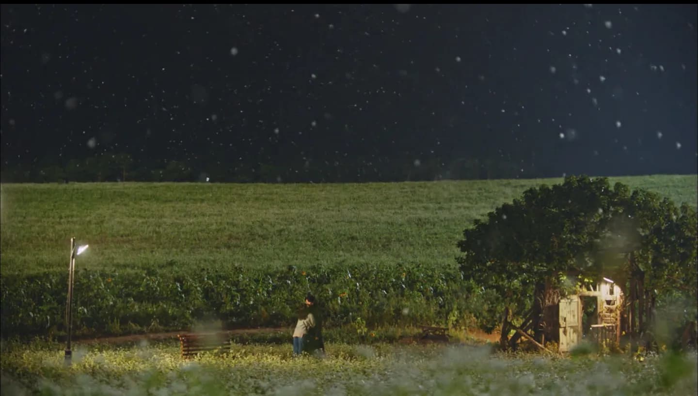 Hagwon Farm buckwheat field at night, lit by lanterns