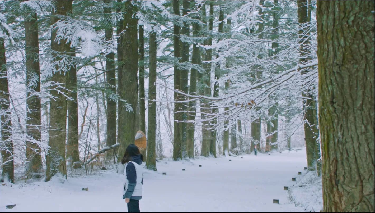 Snow-covered fir-tree path at Woljeongsa Temple