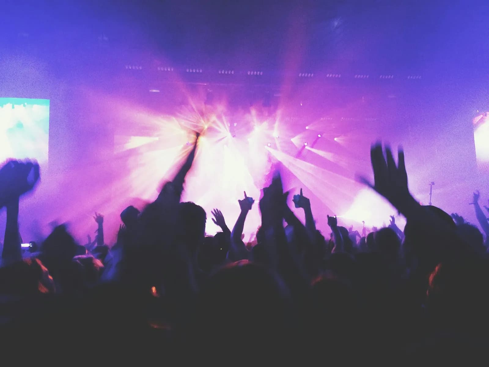 K-pop concert audience holding lightsticks above their heads