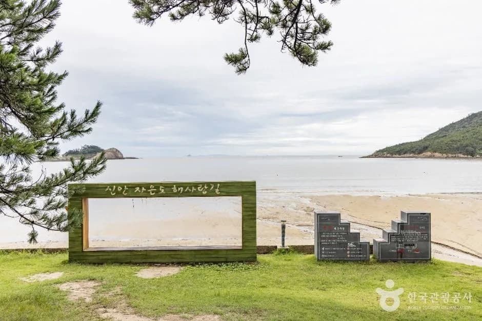 Bungye Beach and the sea framed by the pine forest, Sinan