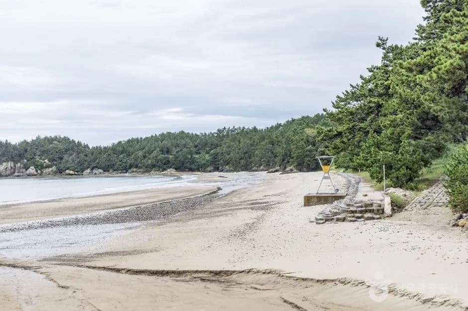The sandy shore and pine woods of Bungye Beach, Sinan