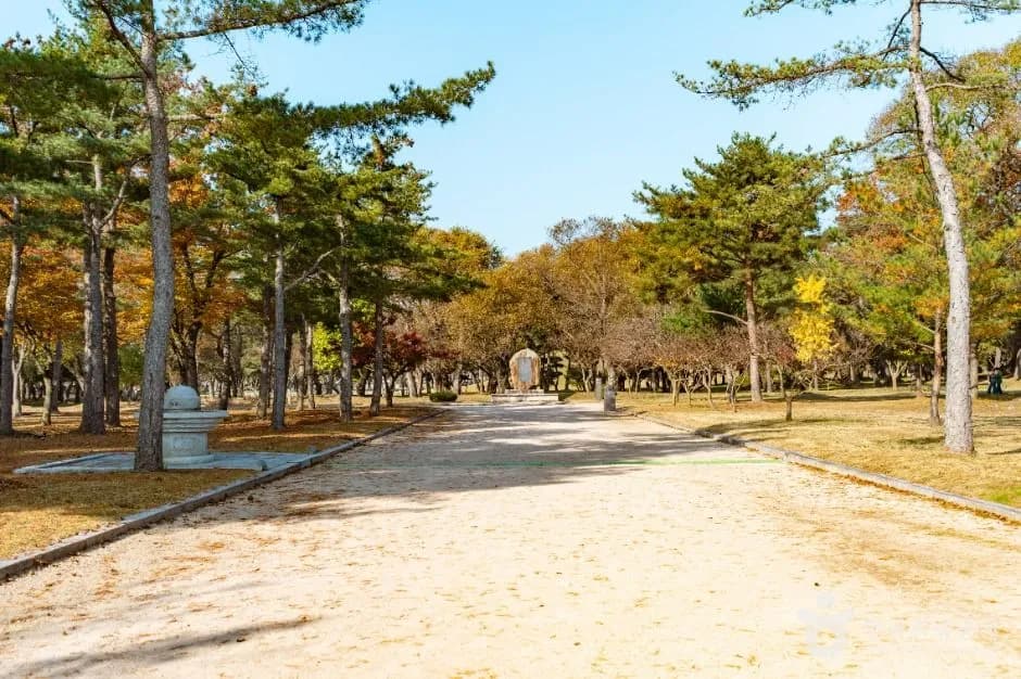 Tree-lined walking path through the Gyeongju Oreung royal tombs park