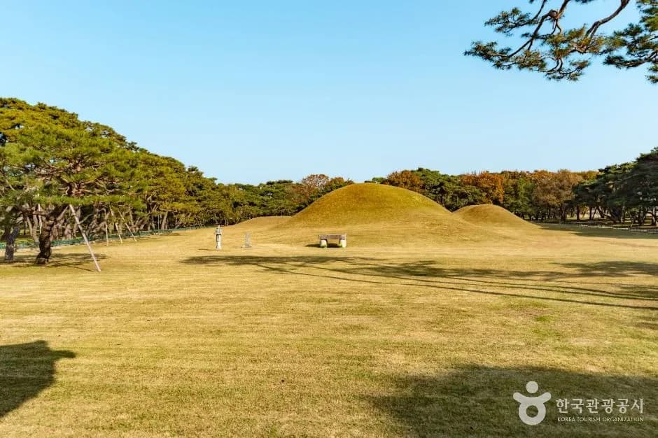 Ancient royal burial mounds at Gyeongju Oreung surrounded by pine trees