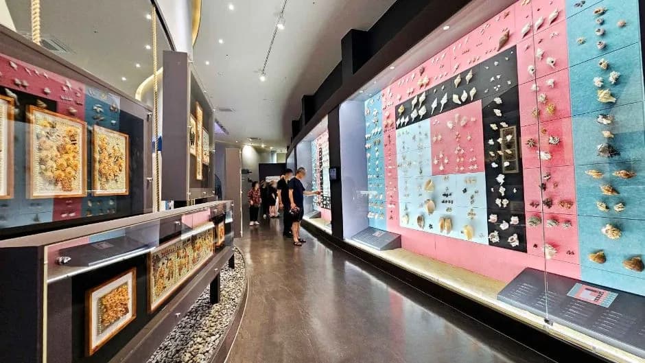 Colorful shell display walls inside the World Shell Museum, Sinan