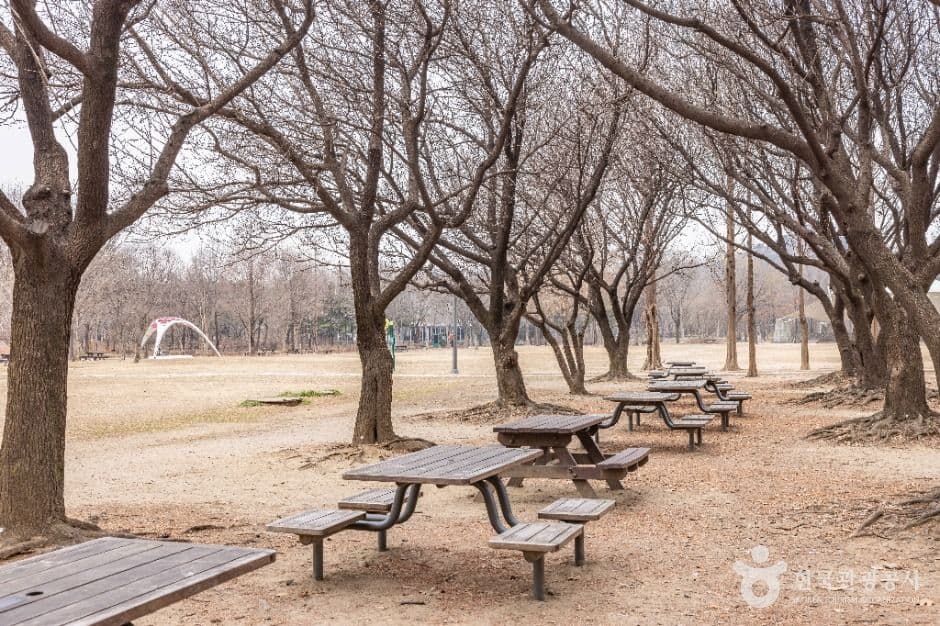 서울_서울숲 (1)