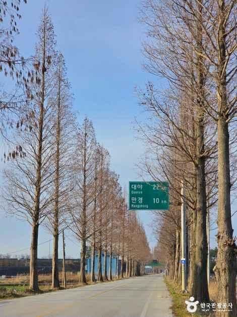 Road sign and metasequoia trees along the Gimje countryside road