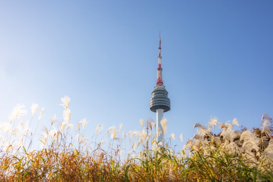 [아시아중동]남산공원2(남산타워)_초고화질_1유형