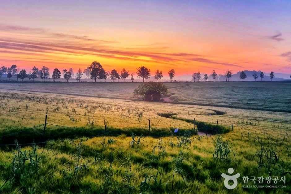 고창_보리나라 학원농장 (4)