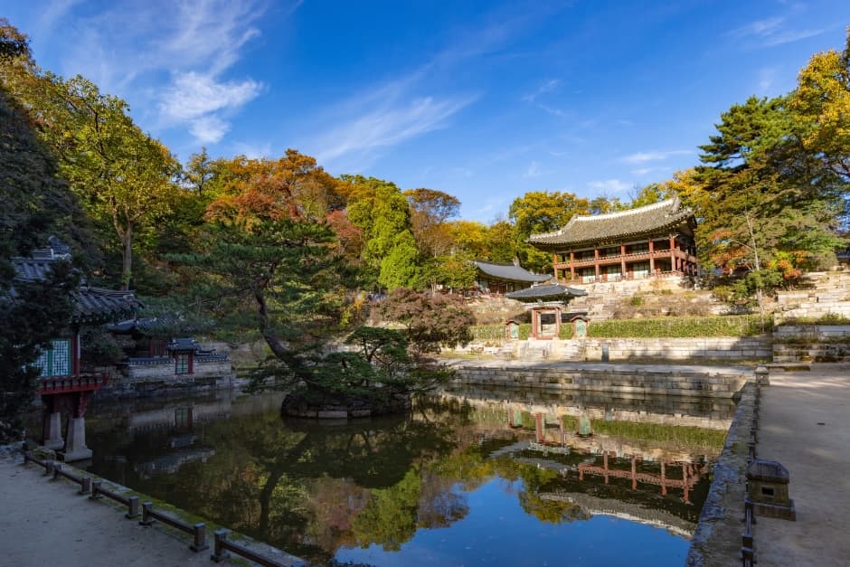 [아시아중동]창덕궁9(후원)_일반_1유형