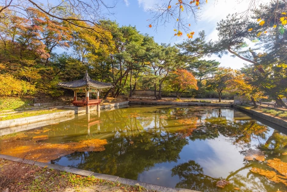 [아시아중동]창덕궁8(후원)_일반_1유형