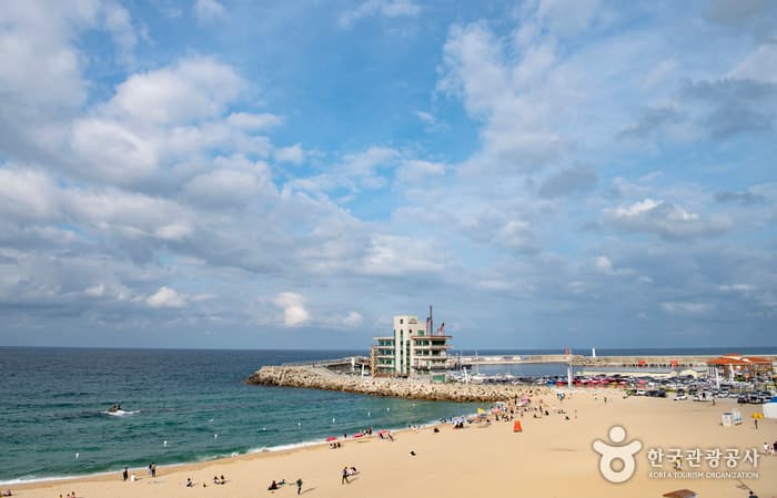 강릉커피거리_03