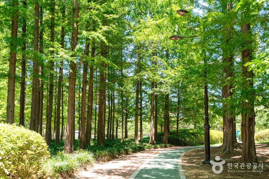 고양_일산호수공원 (3)