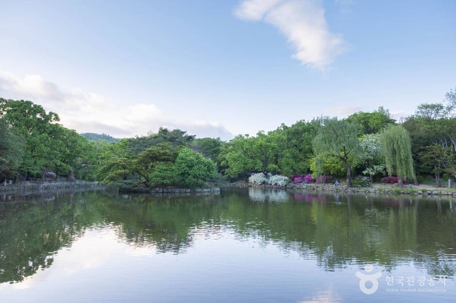 서울_창경궁 (4)