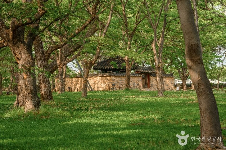 Gyerim Forest, the ancient woodland of the Kim Alji legend in Gyeongju