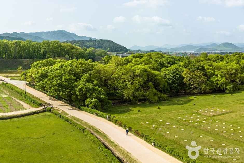 Gyerim Forest, the ancient woodland of the Kim Alji legend in Gyeongju (view 3)