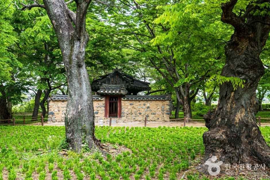 Gyerim Forest, the ancient woodland of the Kim Alji legend in Gyeongju (view 4)