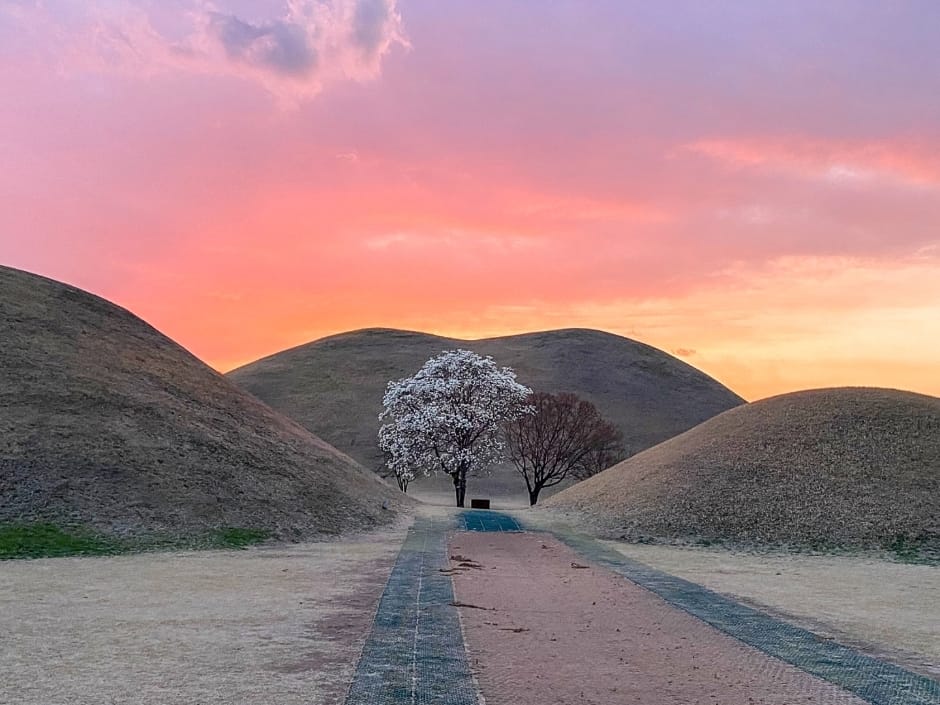 Daereungwon Tomb Complex royal burial mounds in Gyeongju (view 5)
