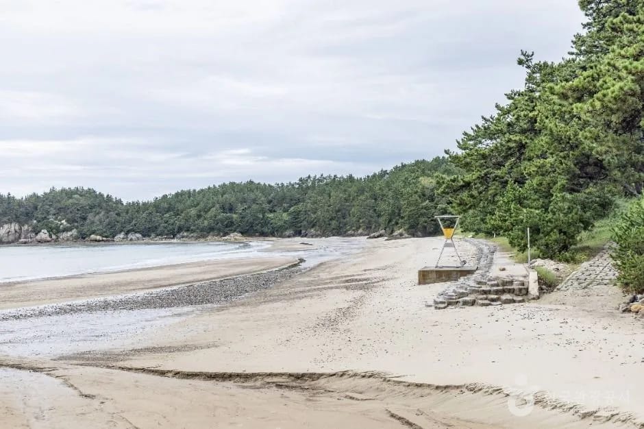 The sandy shore and pine woods of Bungye Beach, Sinan