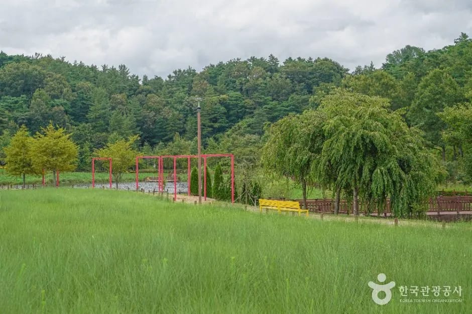 Seasonal flower beds and walking trails inside Agyang Ecological Park, Haman