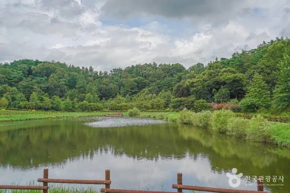 Fragrance plant conservatory and observation decks at Agyang Ecological Park