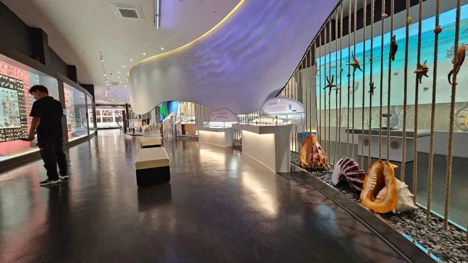 Exhibition hall with a wave-form ceiling at the World Shell Museum, 1004 Museum Park, Sinan