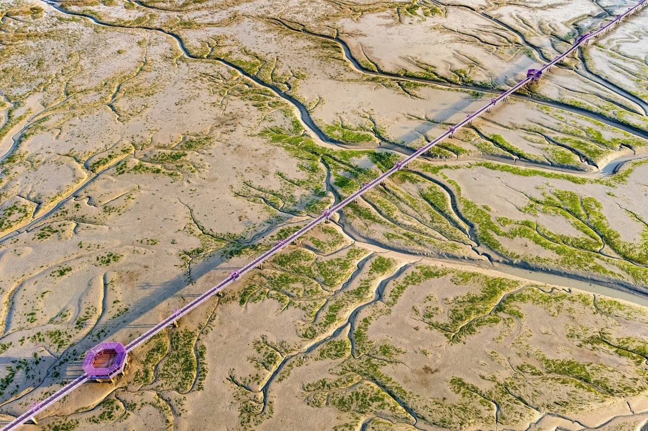 Aerial view of the Purple Bridge crossing the tidal flats to Purple Island, Sinan