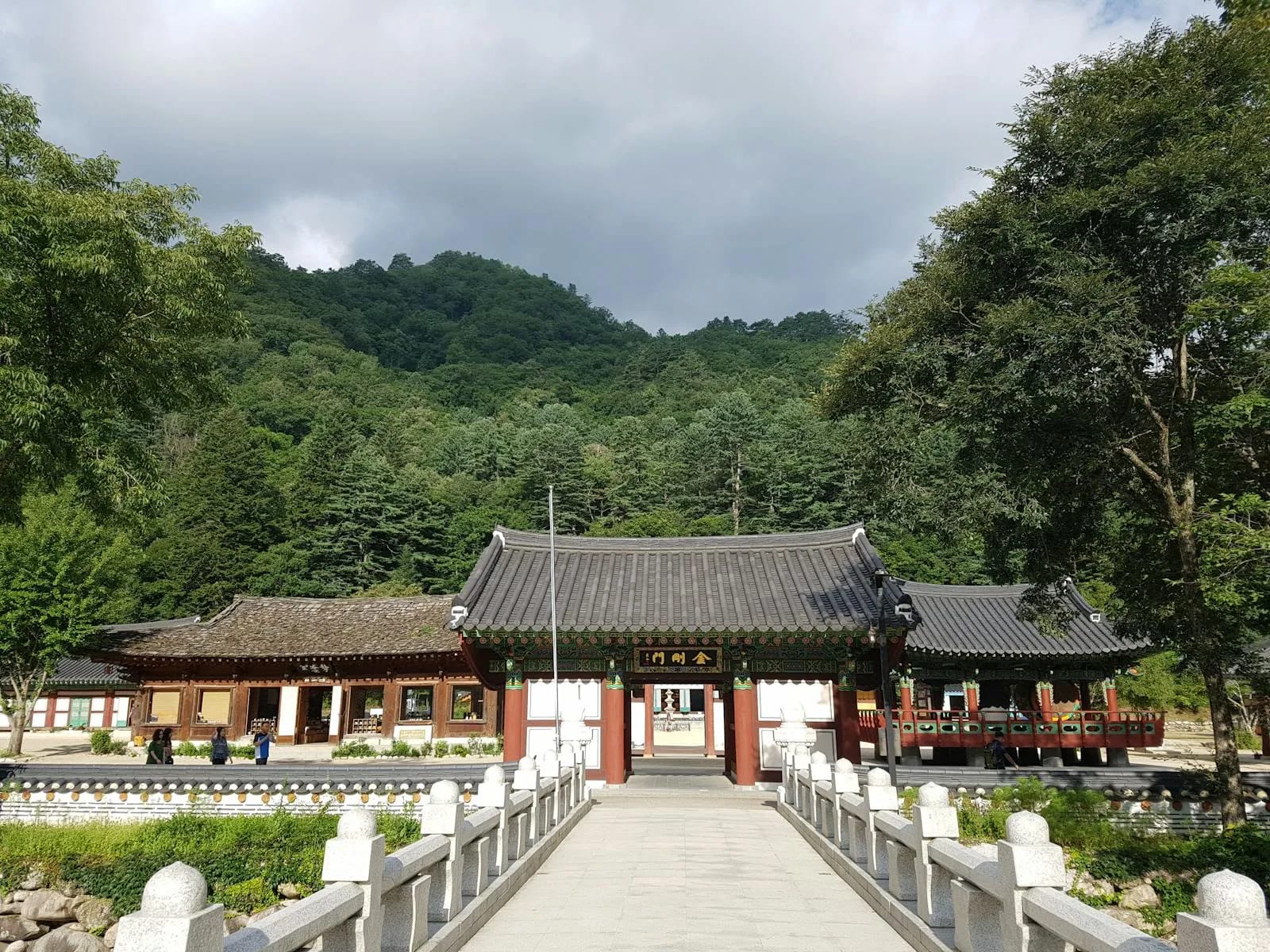 Bulguksa Temple gate surrounded by lush green forest in Gyeongju