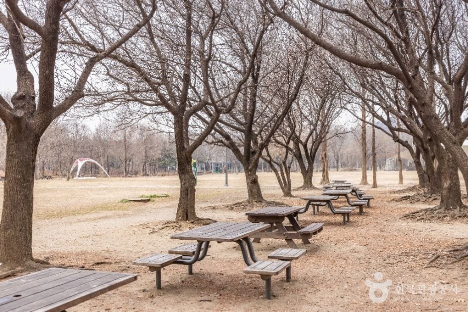 서울_서울숲 (1)