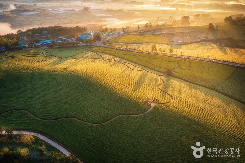 Gochang, Korea — Buckwheat fields, UNESCO dolmens, Seonunsan Temple