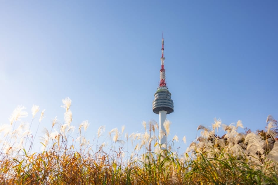[아시아중동]남산공원2(남산타워)_초고화질_1유형