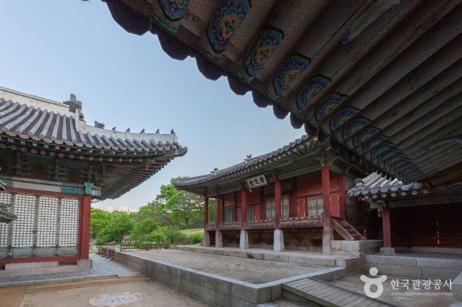 서울_창경궁 (3)