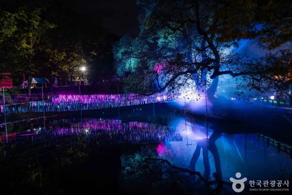 Nakhwanori venue with blue and purple LED lighting over the pond at night