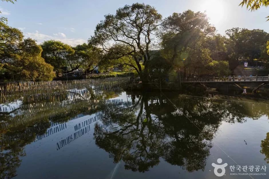 Mujinjeong Pavilion pond during daytime with unlit nakhwabong rods hanging over water