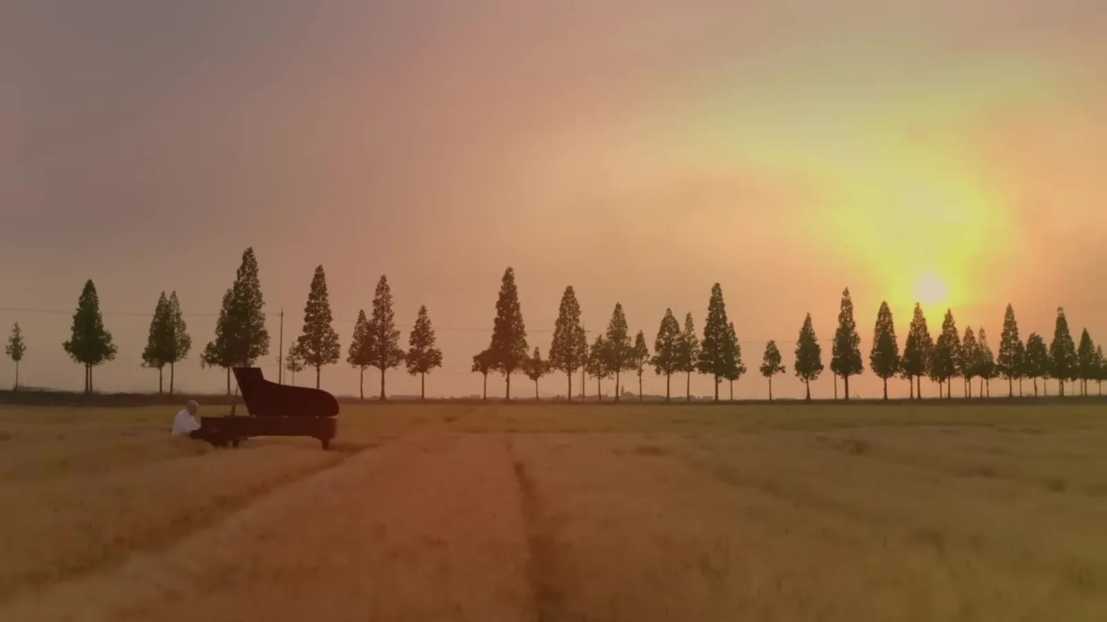 Gimje, Korea — Korea's widest plains, where the rice fields meet the horizon